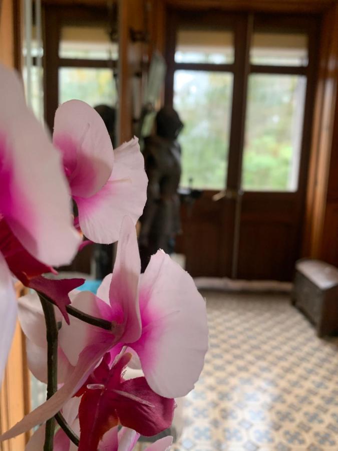 Demoiselle Des Roches Apartman Ramonchamp Kültér fotó