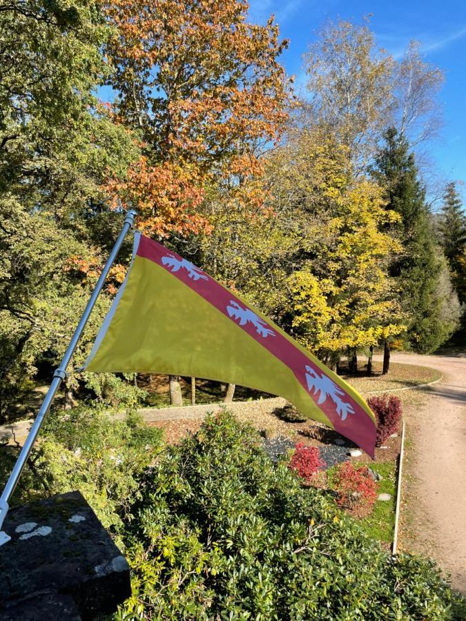 Demoiselle Des Roches Apartman Ramonchamp Kültér fotó