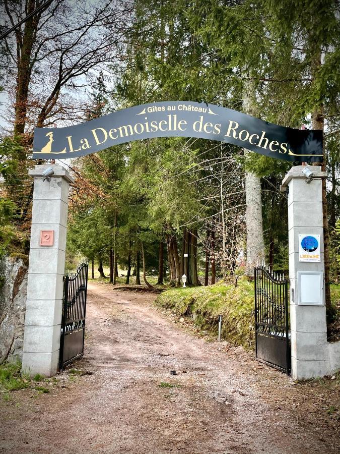 Demoiselle Des Roches Apartman Ramonchamp Kültér fotó
